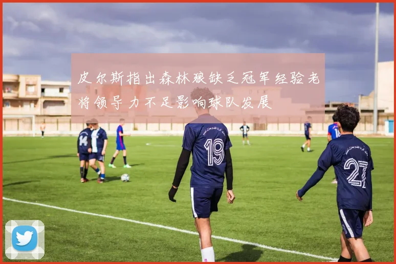 皮尔斯指出森林狼缺乏冠军经验老将领导力不足影响球队发展