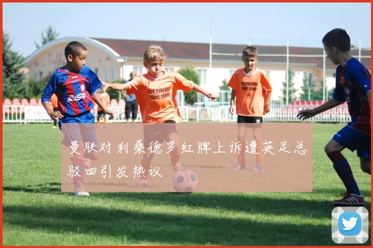 曼联对利桑德罗红牌上诉遭英足总驳回引发热议